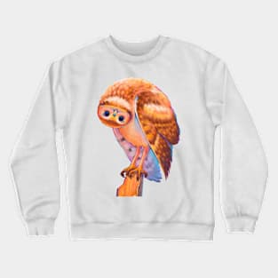 Cute Cartoon Owl Crewneck Sweatshirt